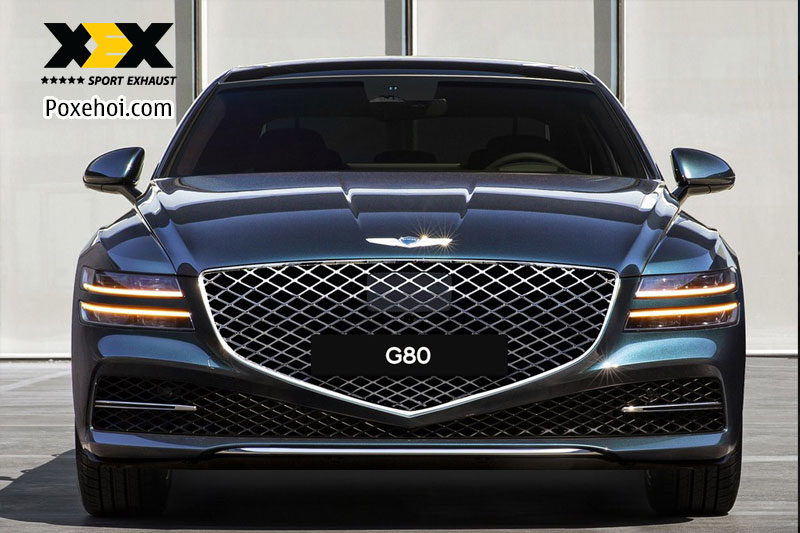 Xe Genesis G80